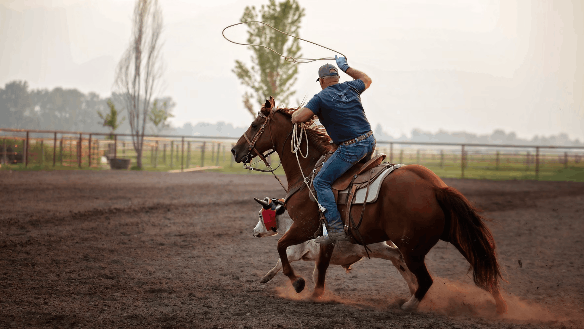 Team roper swinging a loop on a steer in a dusty arena