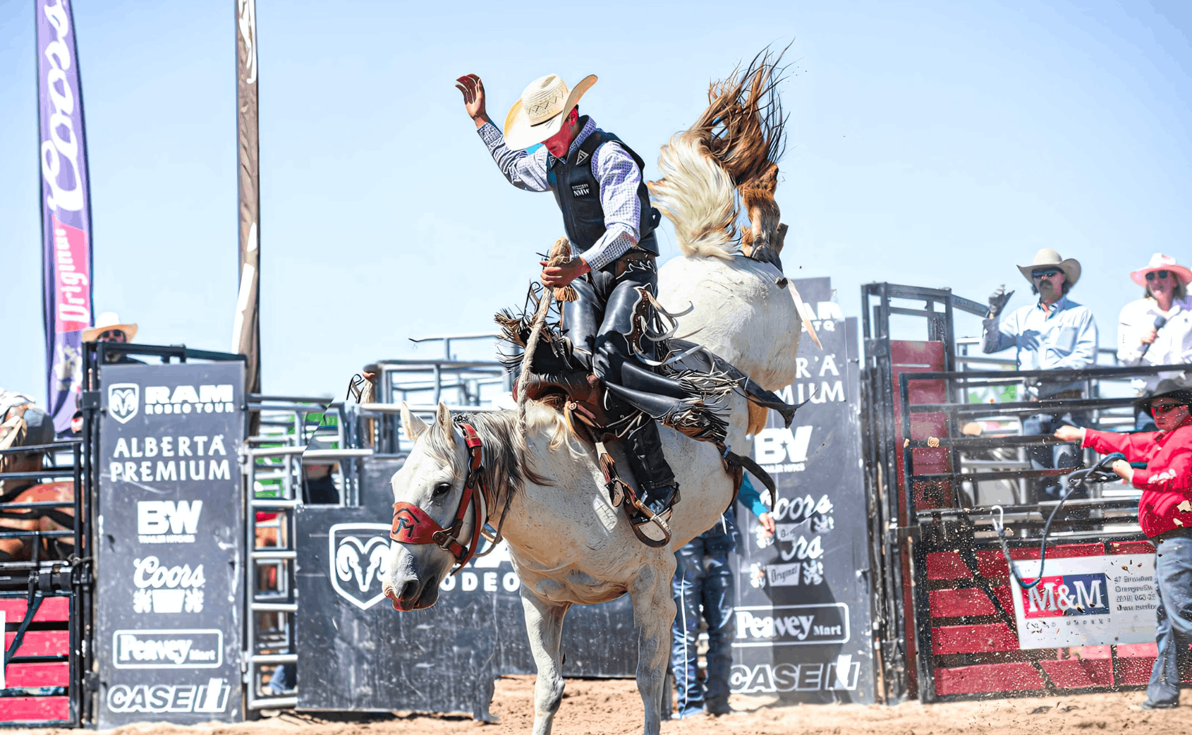Bareback rider spurring out of the chute at a rodeo